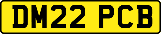 DM22PCB