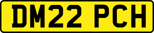 DM22PCH
