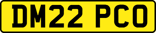 DM22PCO