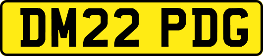DM22PDG