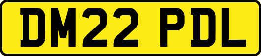 DM22PDL