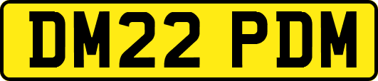 DM22PDM