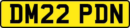 DM22PDN