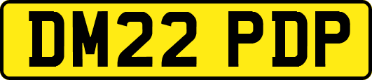 DM22PDP