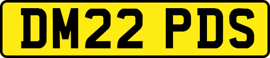 DM22PDS