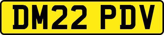 DM22PDV