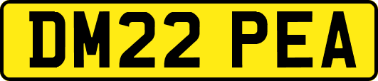 DM22PEA