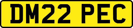 DM22PEC