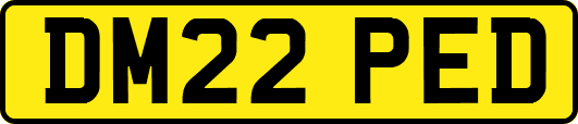 DM22PED
