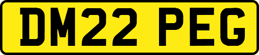 DM22PEG