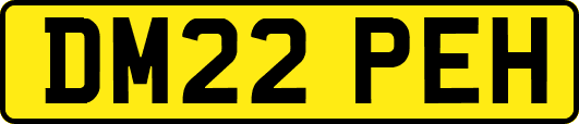 DM22PEH
