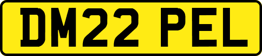 DM22PEL