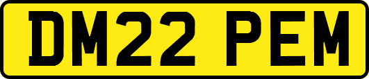 DM22PEM