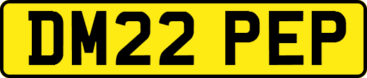 DM22PEP