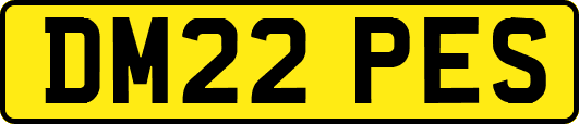 DM22PES