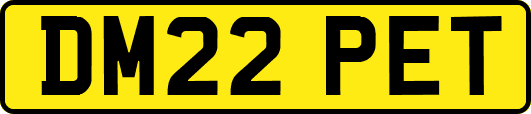 DM22PET