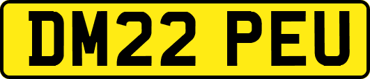DM22PEU