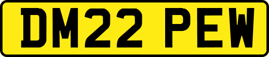 DM22PEW