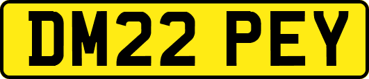 DM22PEY
