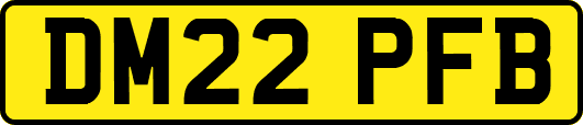 DM22PFB