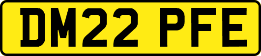 DM22PFE
