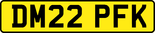 DM22PFK