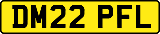 DM22PFL