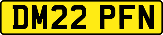 DM22PFN