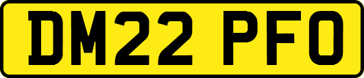 DM22PFO
