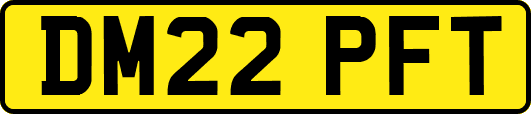 DM22PFT