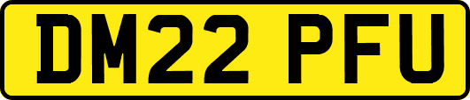 DM22PFU