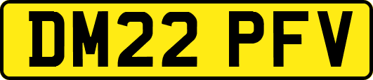 DM22PFV