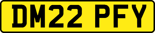 DM22PFY
