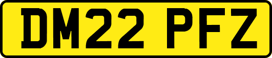 DM22PFZ