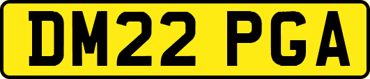 DM22PGA