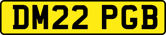 DM22PGB