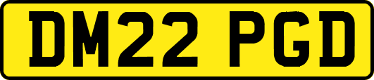 DM22PGD