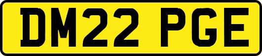 DM22PGE