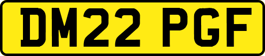 DM22PGF