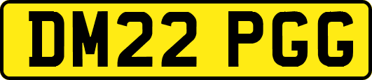 DM22PGG