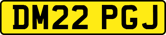 DM22PGJ