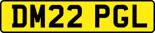 DM22PGL