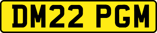 DM22PGM
