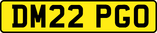 DM22PGO