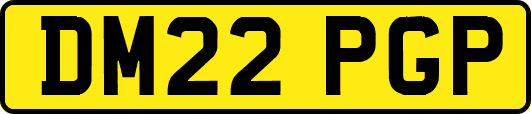 DM22PGP
