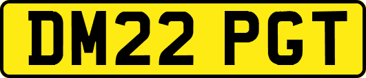 DM22PGT