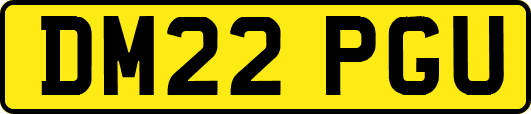 DM22PGU