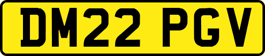 DM22PGV
