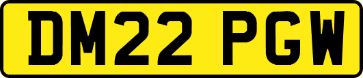 DM22PGW
