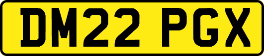 DM22PGX